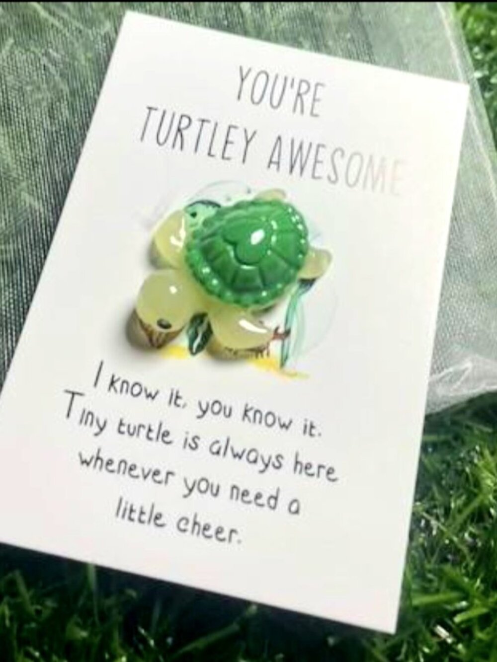 Tiny Turtle Motivational Pocket Resin Figurine You’re Turtley Awesome Card Gift